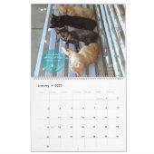 Katzen-Kalender 2018 - Chirpy Katzen Kalender (Jan 2027)
