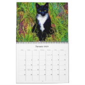 Katzen Kalender für künstlerische Fotografie (Jan 2026)