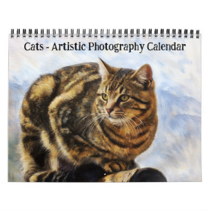 Katzen Kalender für künstlerische Fotografie