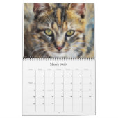 Katzen Kalender für künstlerische Fotografie (Mär 2026)