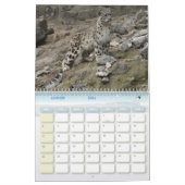 Katzen-Kalender Kalender (Jan 2026)