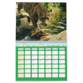 Katzen-Kalender Kalender (Mär 2026)