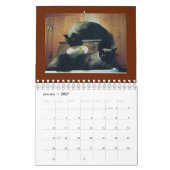 Katzen-Kalender Kalender (Jan 2027)