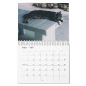 Katzen-Kalender Kalender (Mär 2027)