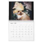 Katzen-Kalender Kalender (Mär 2027)
