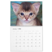Katzen-Kalender Kalender (Jan 2026)