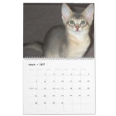 Katzen-Kalender Kalender (Mär 2027)