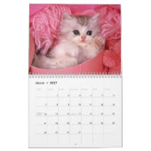 Katzen-Kalender Kalender (Mär 2027)