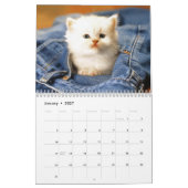 Katzen-Kalender Kalender (Jan 2027)