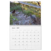 Katzen-Kalender Kalender (Mär 2027)