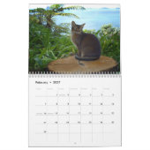 Katzen-Kalender Kalender (Feb 2027)