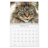 Katzen-Kalender Kalender (Feb 2027)