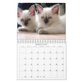 Katzen-Kalender Kalender (Mär 2027)