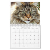 Katzen-Kalender Kalender (Feb 2026)
