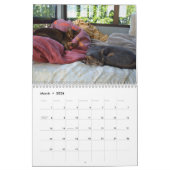 Katzen-Kalender Kalender (Mär 2026)