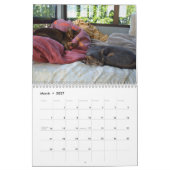 Katzen-Kalender Kalender (Mär 2027)