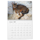 Katzen-Kalender Kalender (Jan 2027)