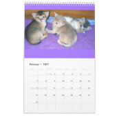 Katzen-Kalender Kalender (Feb 2027)
