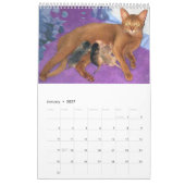 Katzen-Kalender Kalender (Jan 2027)