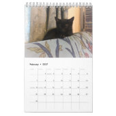 Katzen-Kalender Kalender (Feb 2027)