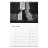 Katzen-Kalender Kalender (Jan 2027)