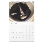 Katzen-Kalender Kalender (Mär 2027)