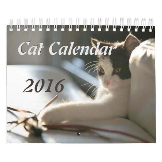 Katzen-Kalender Kalender (Titelbild)