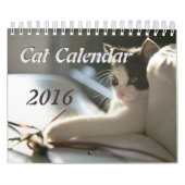 Katzen-Kalender Kalender (Titelbild)
