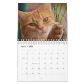 Katzen-Kalender Kalender (Mär 2026)