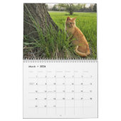 Katzen-Kalender Kalender (Mär 2026)