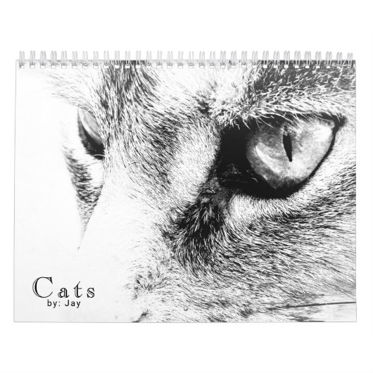 Katzen-Kalender Kalender (Titelbild)