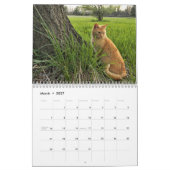 Katzen-Kalender Kalender (Mär 2027)