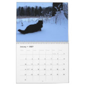 Katzen-Kalender Kalender (Jan 2027)