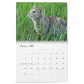 Katzen-Kalender Kalender (Feb 2027)