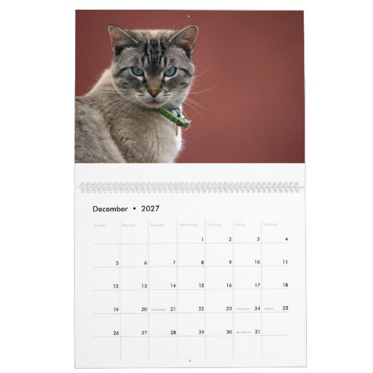 Katzen-Kalender Kalender (Dez 2027)