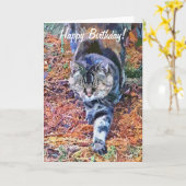 KATZEN KARTE (Gelbe Blume)