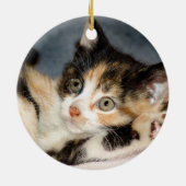 Katzen-/Kätzchen-Adoptions-Mitteilung Keramik Ornament (Hinten)