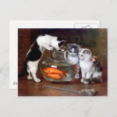 Katzen Kätzchen Angeln in einer Fischschüssel Gemä Postkarte (Vorne/Hinten)