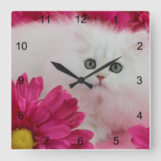 Katzen, Kätzchen, personifizieren, Pink, Quadratische Wanduhr