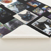 Katzen Kätzchen schwarz Sherpadecke (3/4)