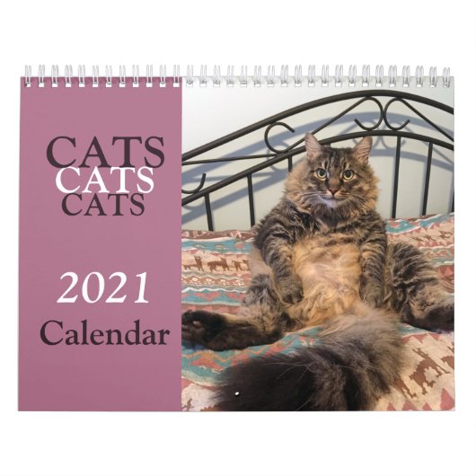 Katzen Katzen Katzen Kalender (Titelbild)