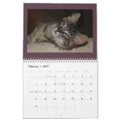 Katzen Katzen Katzen Kalender (Feb 2027)