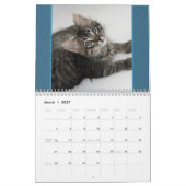 Katzen Katzen Katzen Kalender (Mär 2027)
