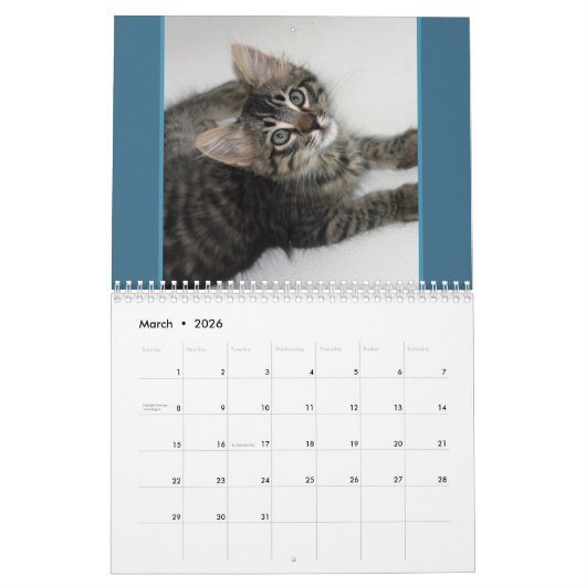 Katzen Katzen Katzen Kalender (Mär 2026)