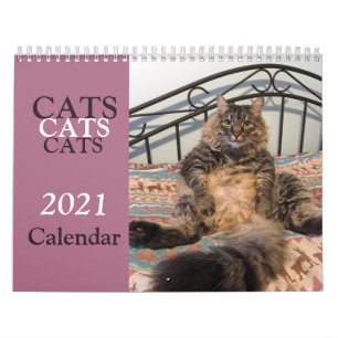 Katzen Katzen Katzen Kalender