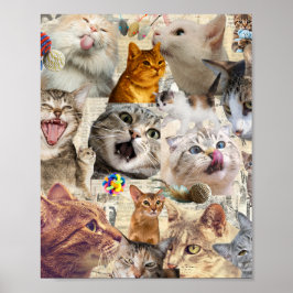 Katzen Katzen Katzen... Katzen Collage Poster