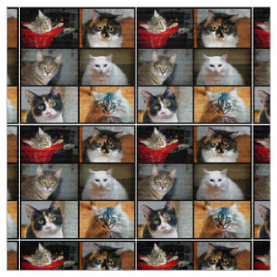 Katzen Katzen Katzen Katzen Stoff