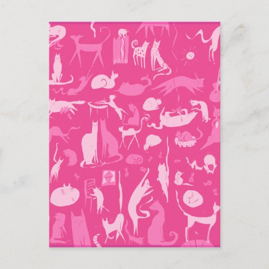 Katzen! Katzen! Katzen! Postkarte (Vorderseite)