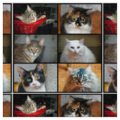 Katzen Katzen Katzen Stoff (Nahaufnahme)