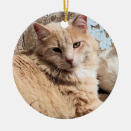 Katzen Keramik Ornament